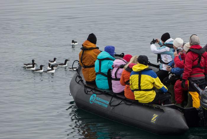 Oceanwide Expeditions Excursions Zodiac cruising Wildlife spotting_Siegfried Brueck.jpeg